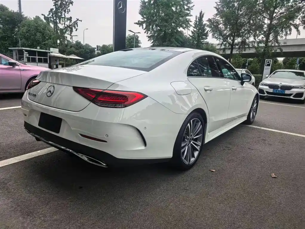 Mercedes-Benz CLS CLS 300 Dynamic