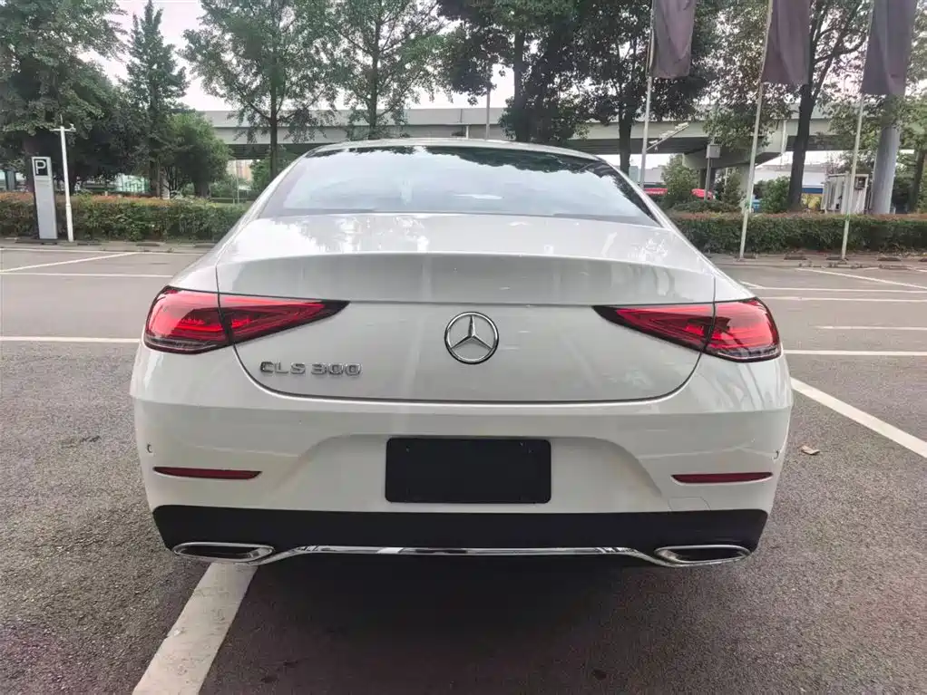 Mercedes-Benz CLS CLS 300 Dynamic
