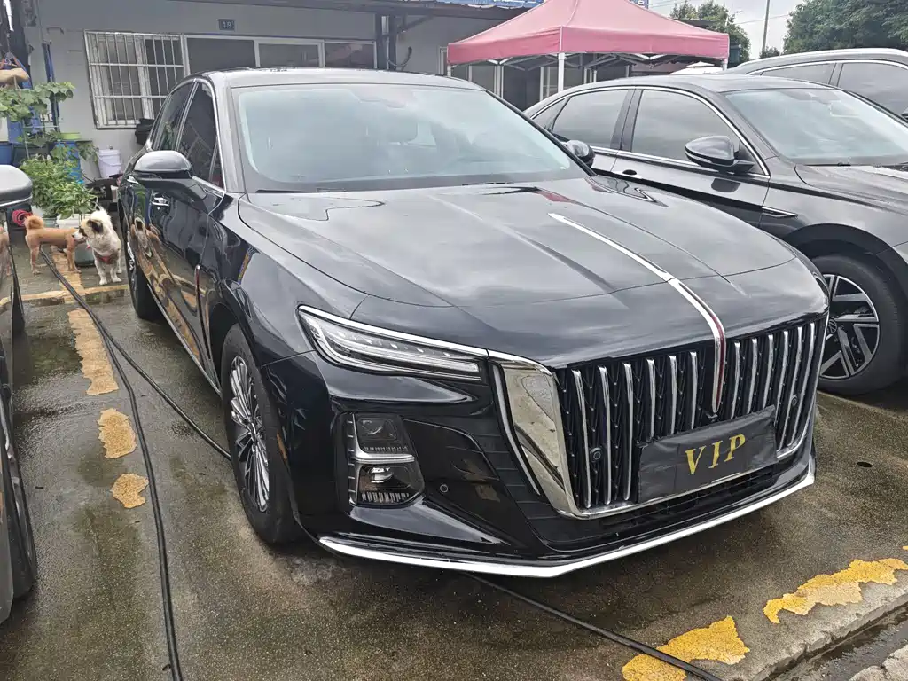 Hongqi H5 1.5 T DCT Flagship Joy