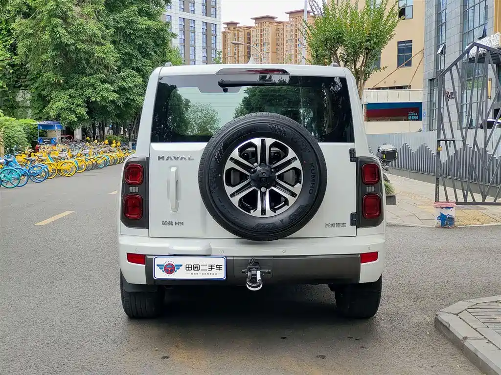 Haval H9 哈弗H9 2024款 2.0 T 汽油四驱探境版