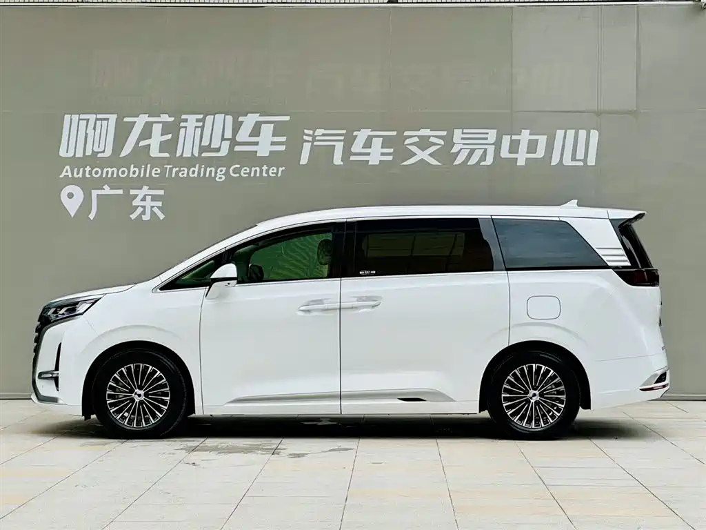 Denza D9 DM-i 1040 Distinguished
