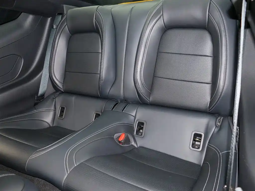 Mustang 2.3 T EcoBoost Hardtop Performance