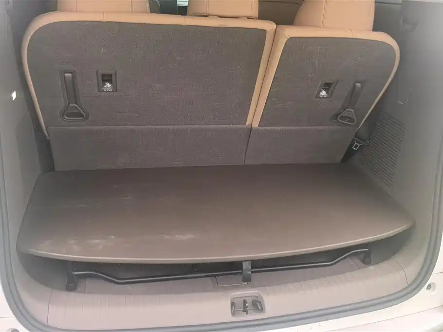 Denza D9 DM-i 970 4 WD Flagship