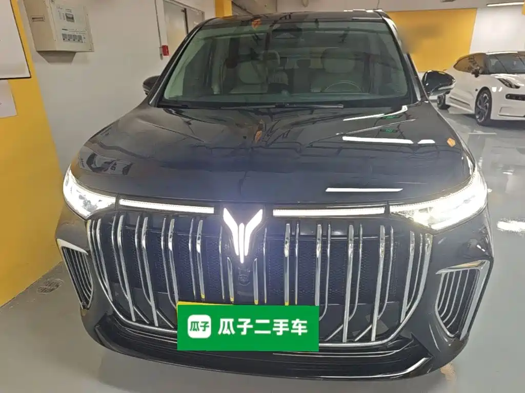 Voyah Dreamer PHEV Ultra Long Range Flagship