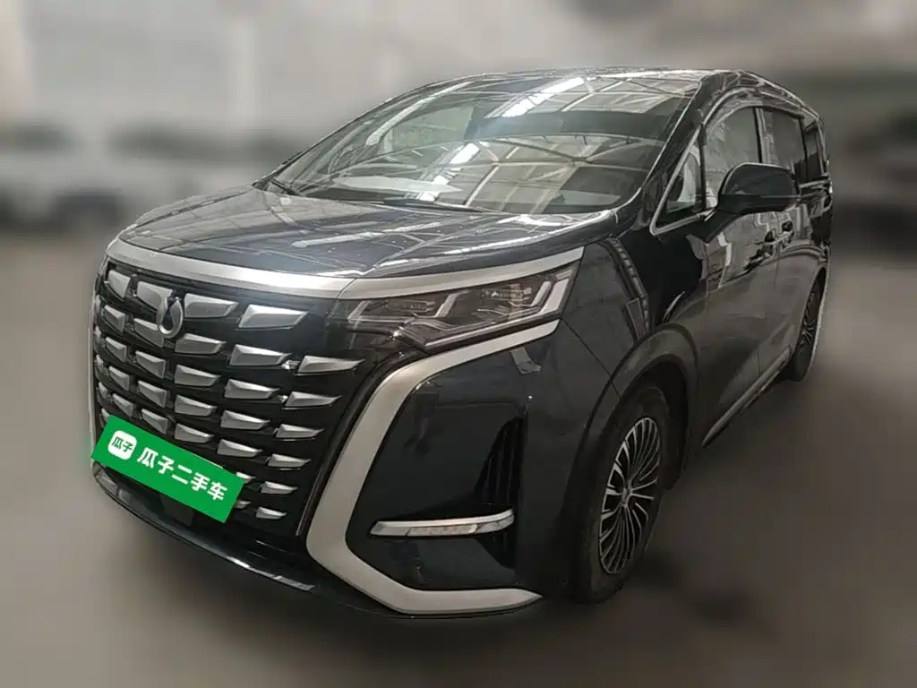 Denza D9 DM-i 970 4 WD Flagship