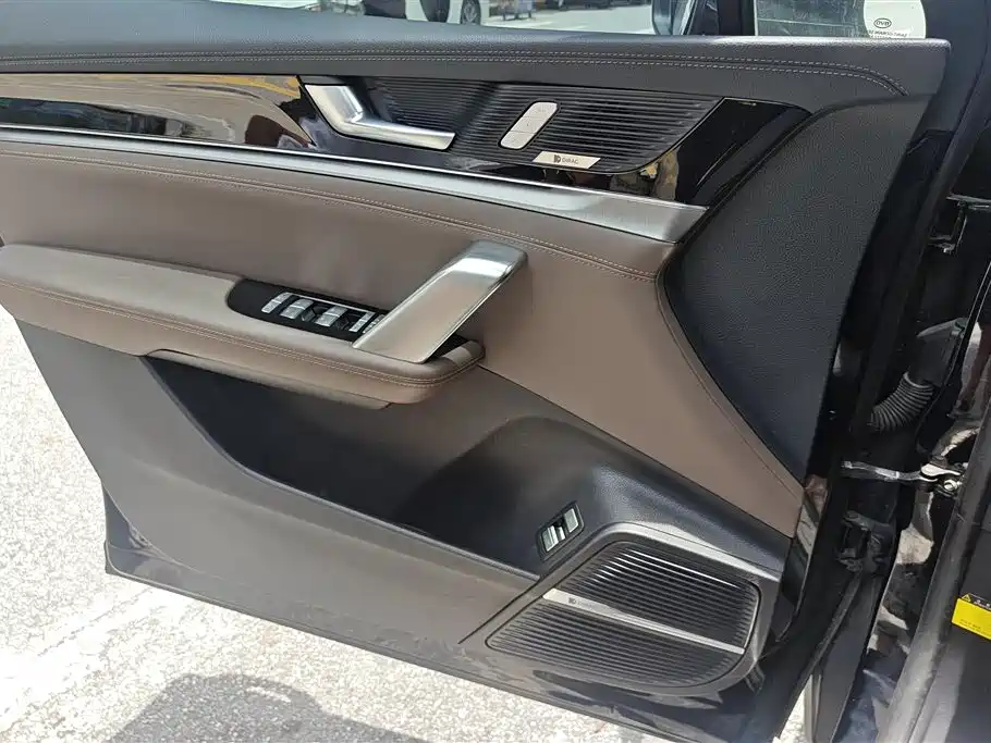 Tang 2.0 T Auto Flagship