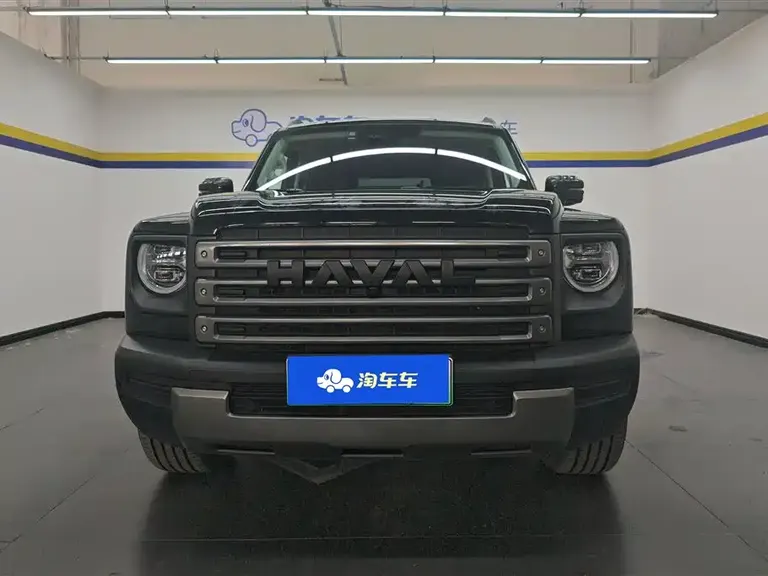 Haval Menglong NEV Hi4 145 Cross