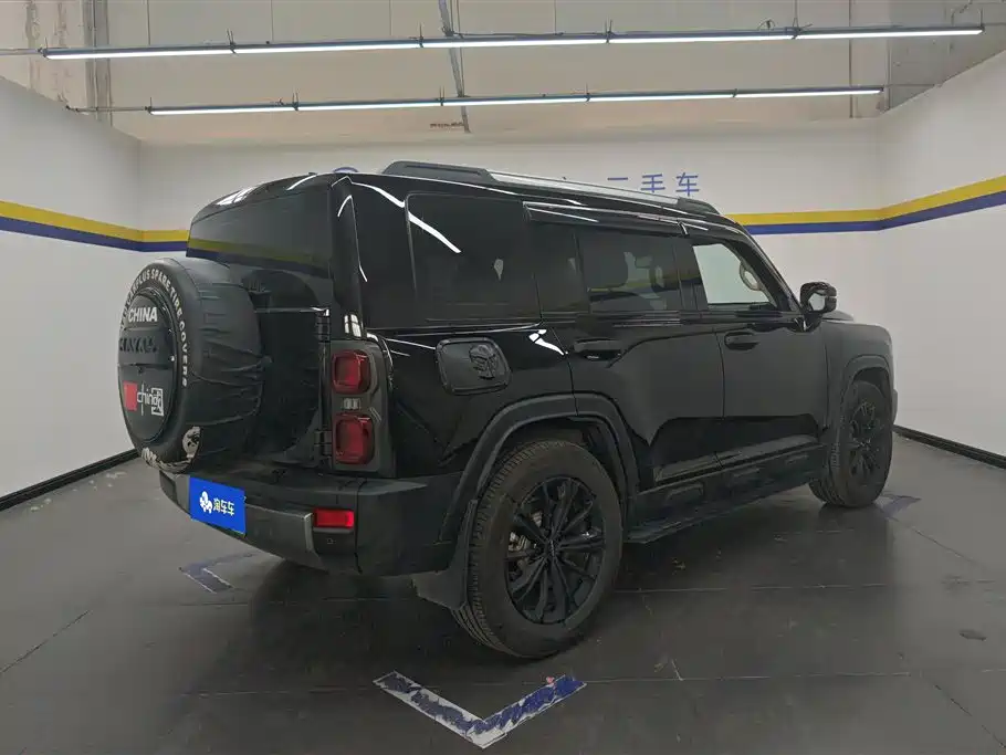 Haval Menglong NEV Hi4 145 Cross