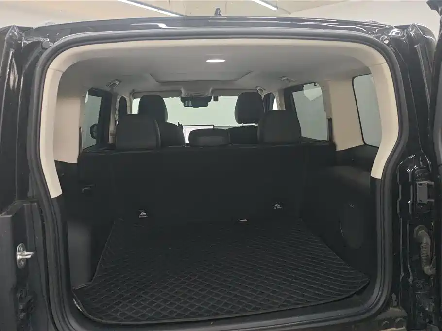 Haval Menglong NEV Hi4 145 Cross