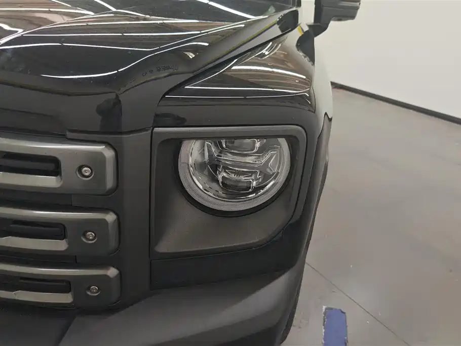 Haval Menglong NEV Hi4 145 Cross