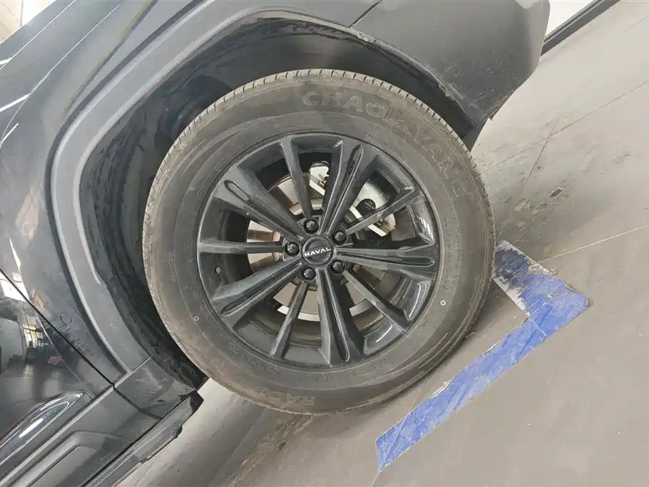 Haval Menglong NEV Hi4 145 Cross