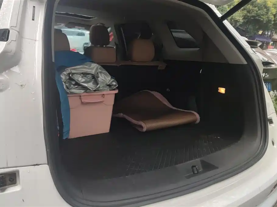 Landian E5 Glory 100 KM Premium 7-seat