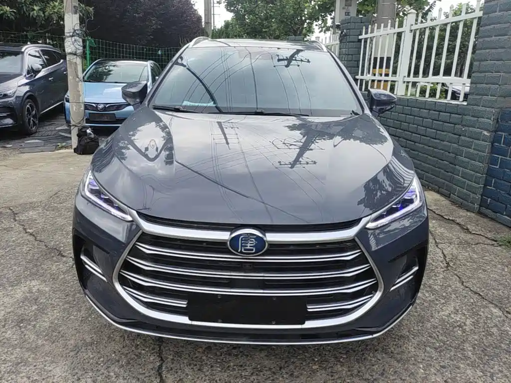 Tang NEV DM 2.0 T 4 WD Performance Distinguished