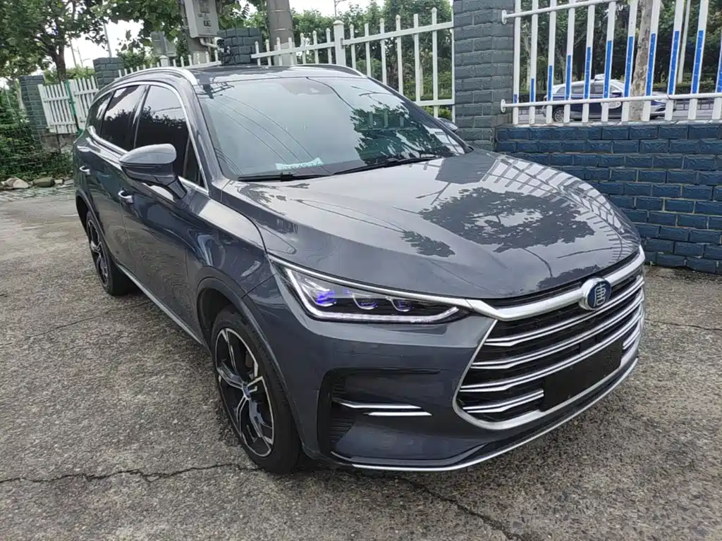 Tang NEV DM 2.0 T 4 WD Performance Distinguished
