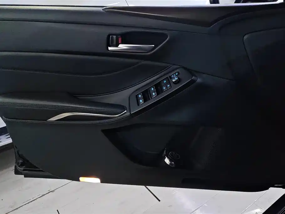Avalon 2.0 L XLE Premium CN-VI