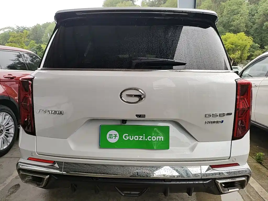 GAC Trumpchi GS8 Dual Engine Series 2.0 TM 4 WD Distinguished (7-seat)