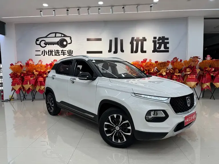Baojun 510 宝骏510 2019款 1.5 L 手动尊享型 国V