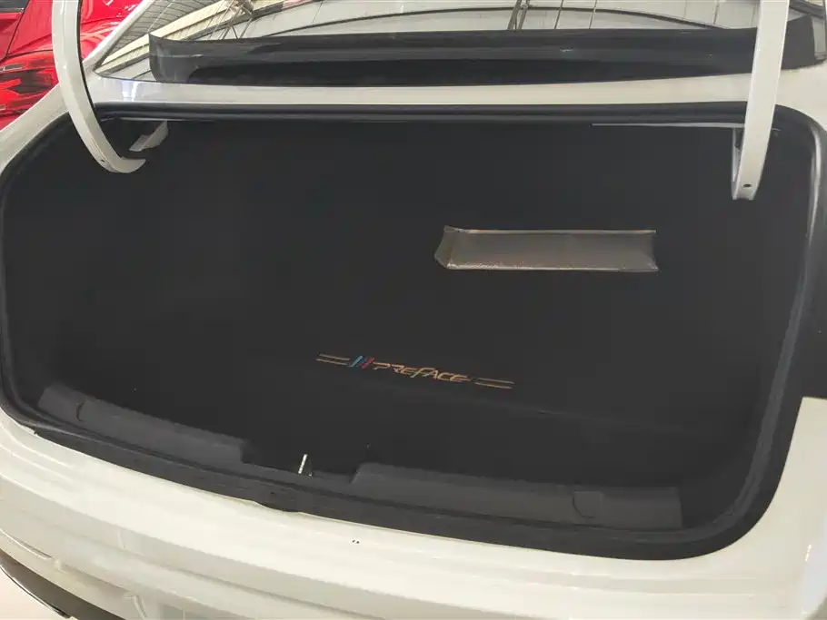 Xingrui 2.0 TD Luxury