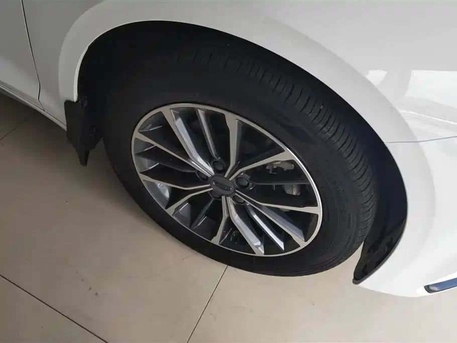 Xingrui 2.0 TD Luxury