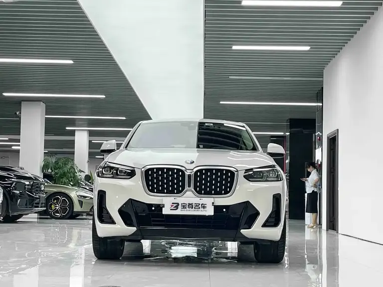 BMW X4 xDrive 25 i M Sport Package