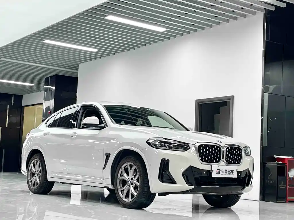 BMW X4 xDrive 25 i M Sport Package