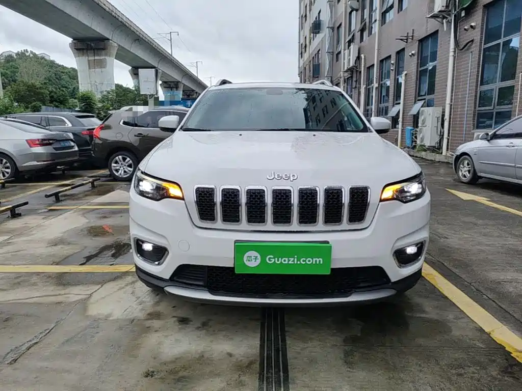 Cherokee 自由光 2020款 2.0 T 两驱领先版