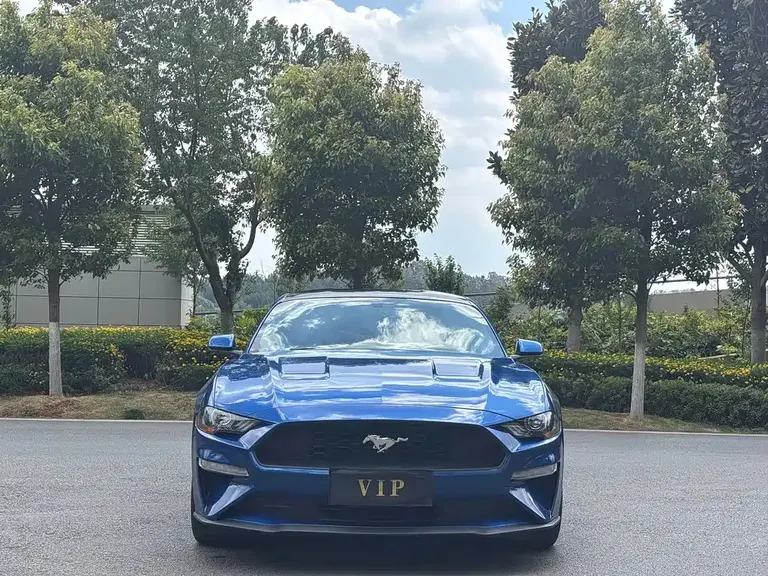 Ford Mustang 2.3 L EcoBoost Performance Reinforced