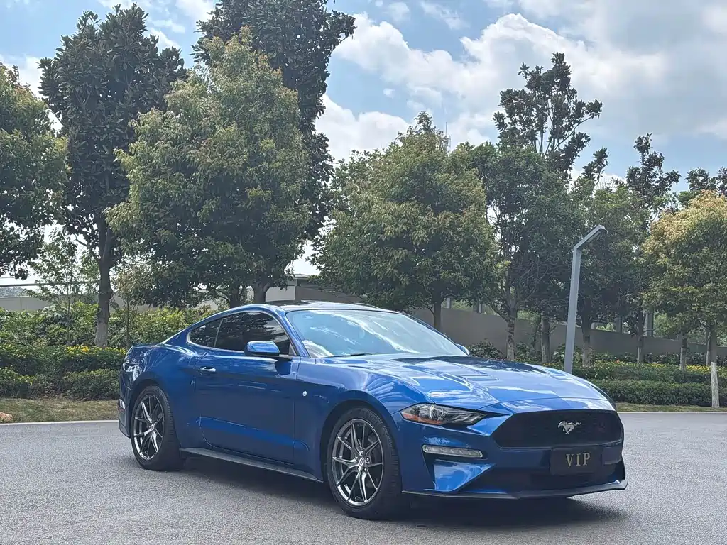Mustang 2.3 L EcoBoost Performance Reinforced