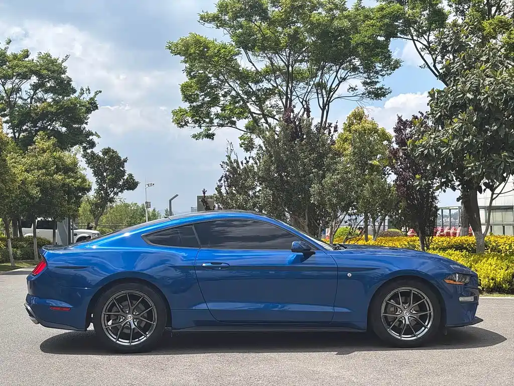 Mustang 2.3 L EcoBoost Performance Reinforced