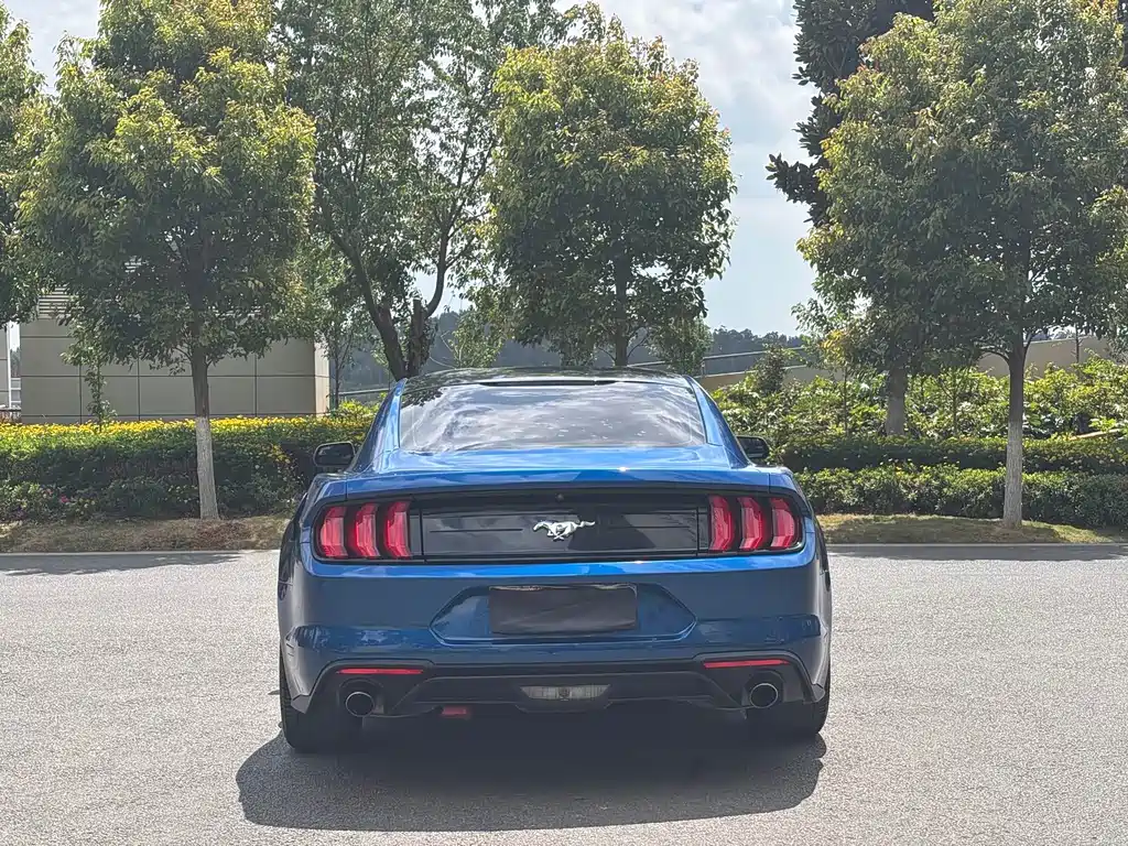 Mustang 2.3 L EcoBoost Performance Reinforced