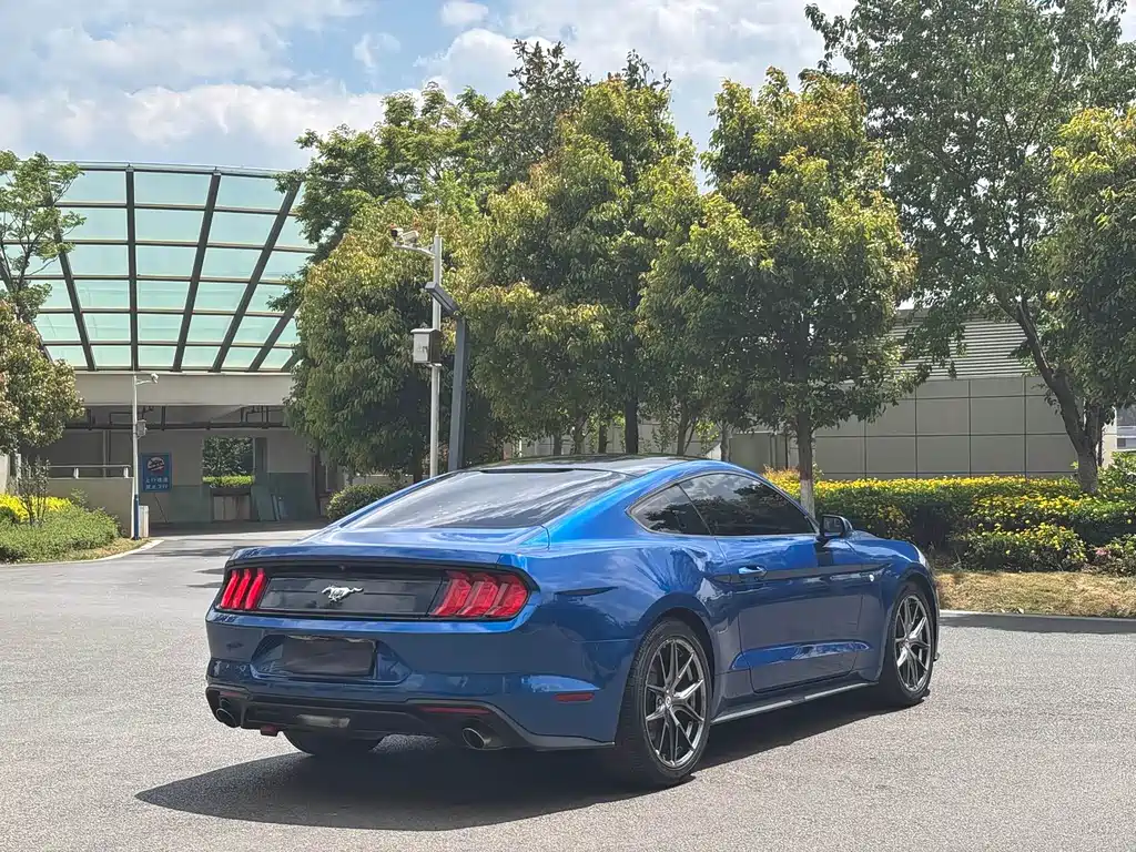 Mustang 2.3 L EcoBoost Performance Reinforced