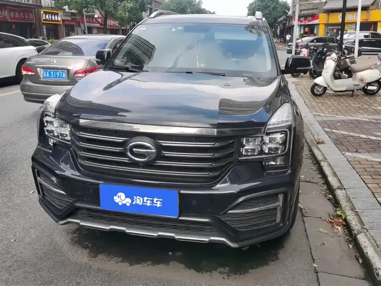 GAC Trumpchi GS8 传祺GS8 2020款 390 T 两驱豪华智联纪念版（七座）