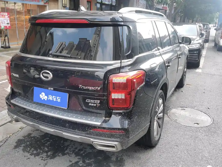GAC Trumpchi GS8 传祺GS8 2020款 390 T 两驱豪华智联纪念版（七座）
