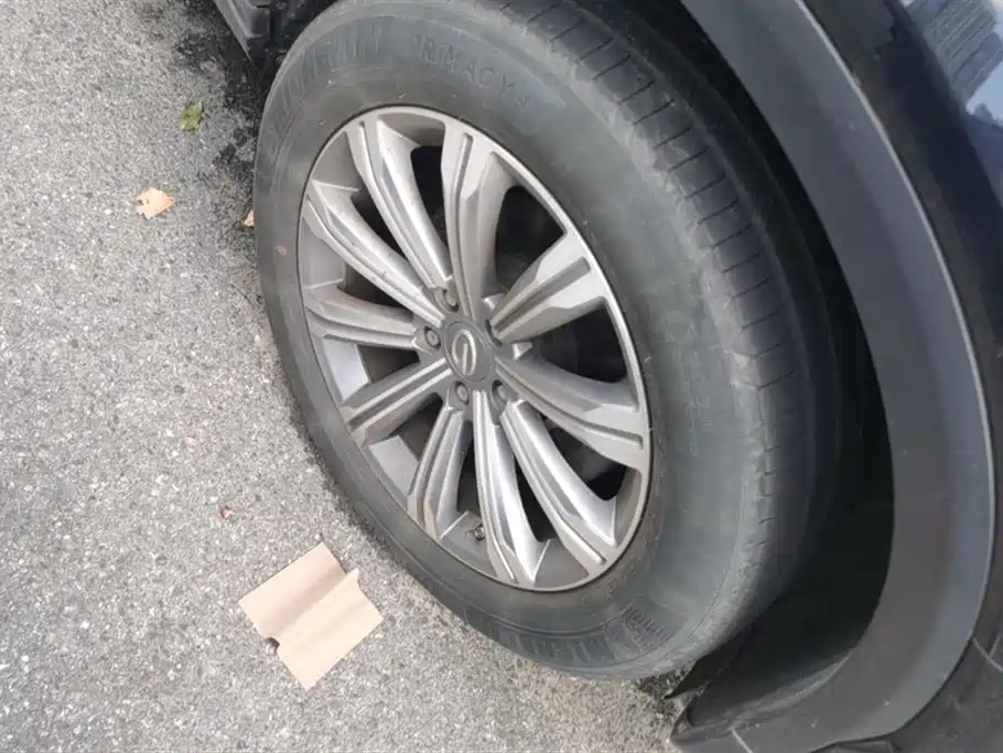 GAC Trumpchi GS8 传祺GS8 2020款 390 T 两驱豪华智联纪念版（七座）