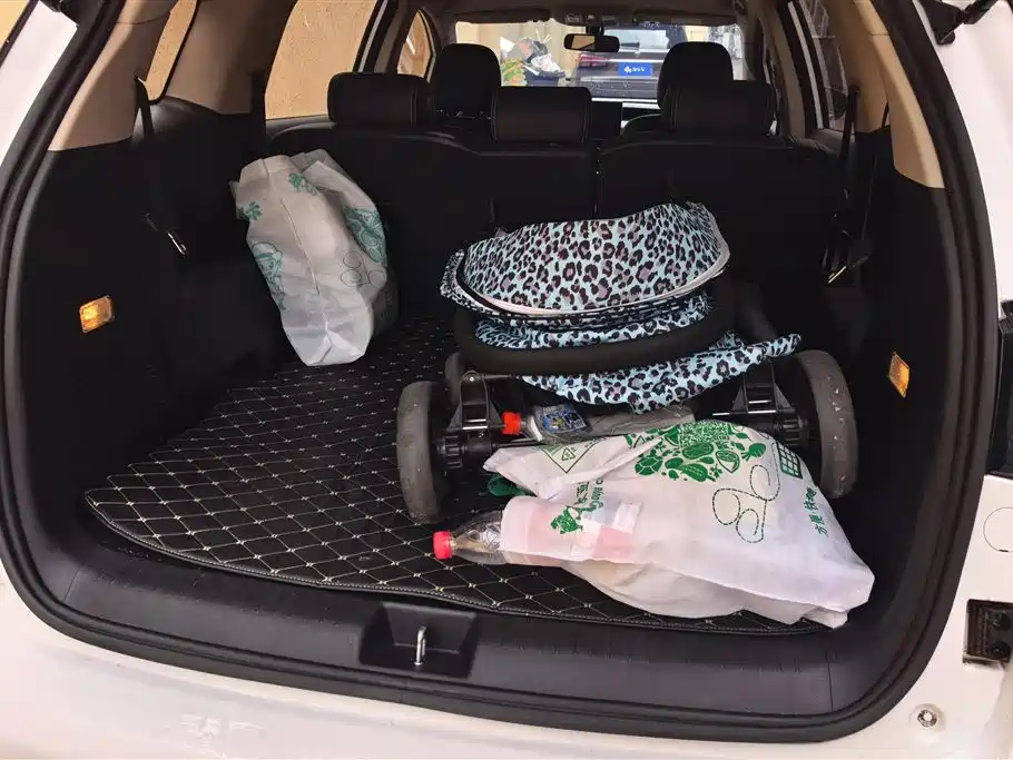 Song MAX 1.5 T Auto Connected Wise Comfort Sunroof 7-seat CN-VI