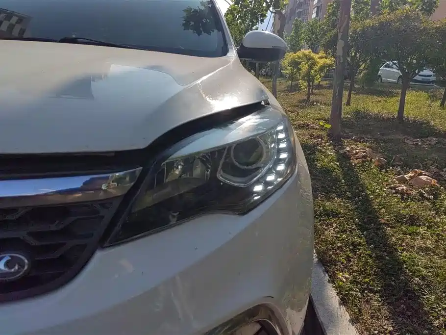 Leopaard CS10 2.0 T Auto Leading