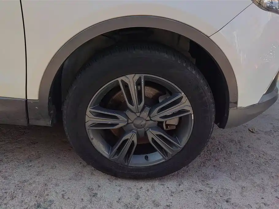 Leopaard CS10 2.0 T Auto Leading