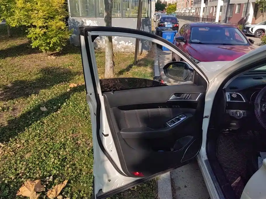 Leopaard CS10 2.0 T Auto Leading