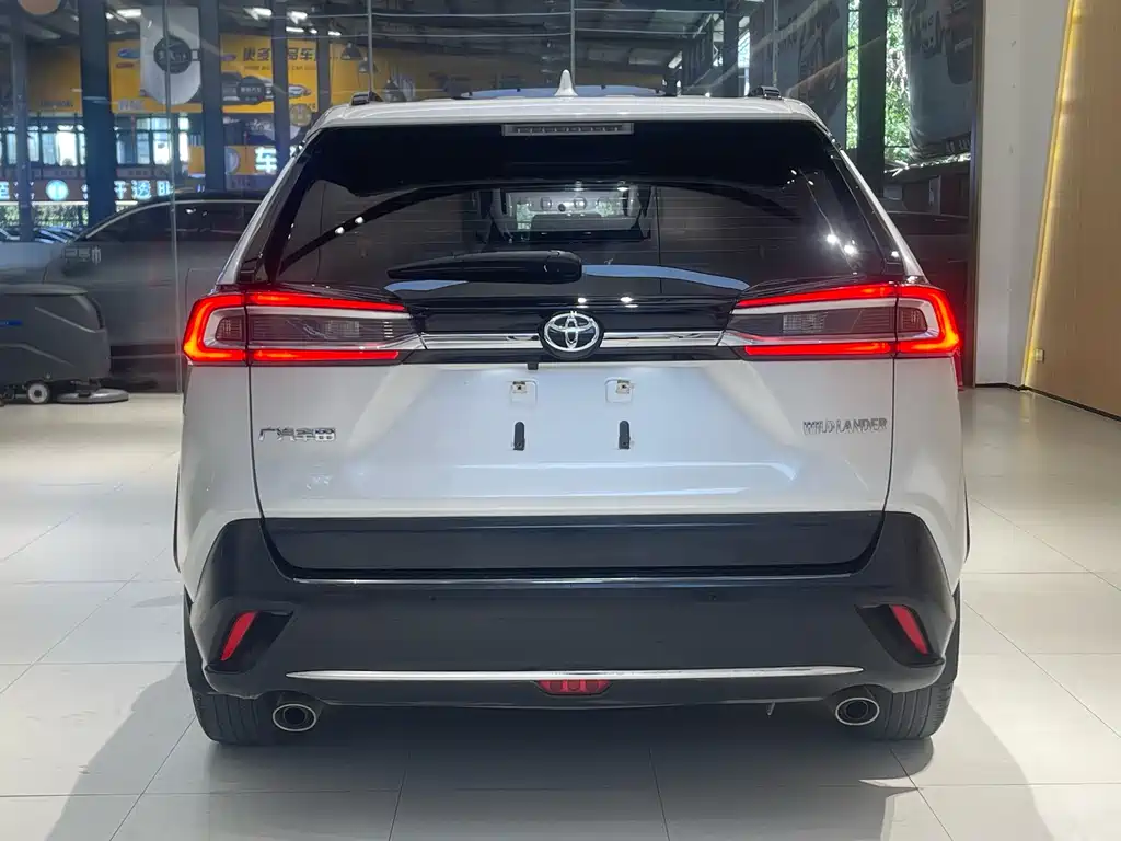 Wildlander 2.0 L CVT 2 WD Tech