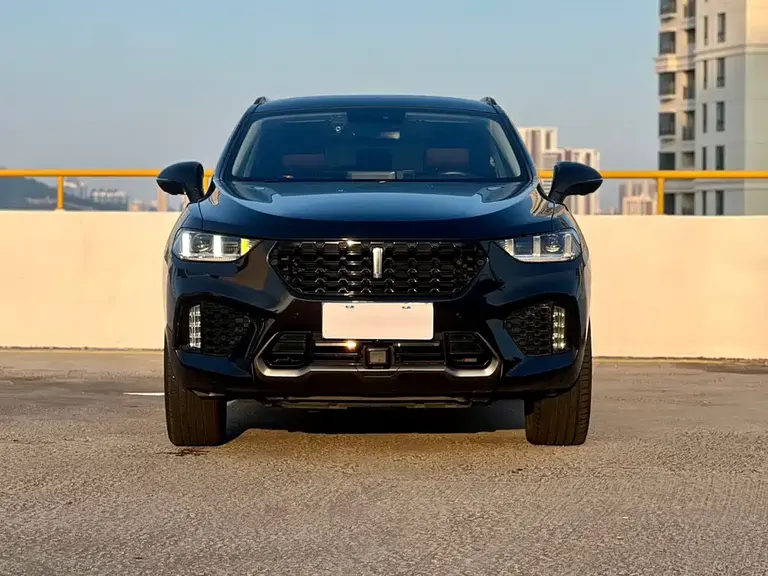 WEY VV5 2.0 T Super Luxury