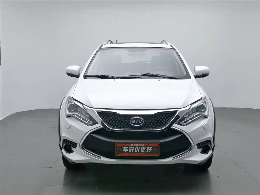 Tang NEV 2.0 T 4 WD Flagship