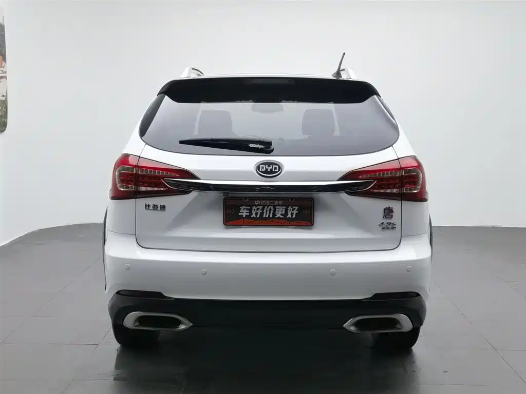 Tang NEV 2.0 T 4 WD Flagship