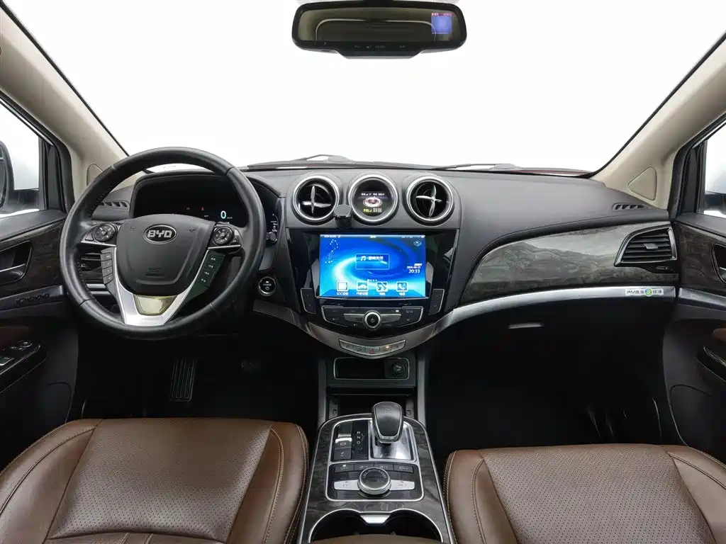 Tang NEV 2.0 T 4 WD Flagship