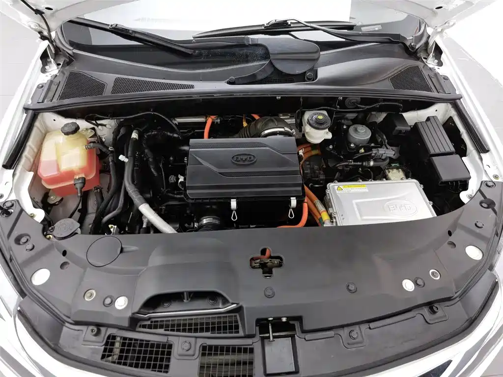 Tang NEV 2.0 T 4 WD Flagship