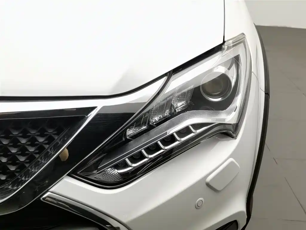 Tang NEV 2.0 T 4 WD Flagship