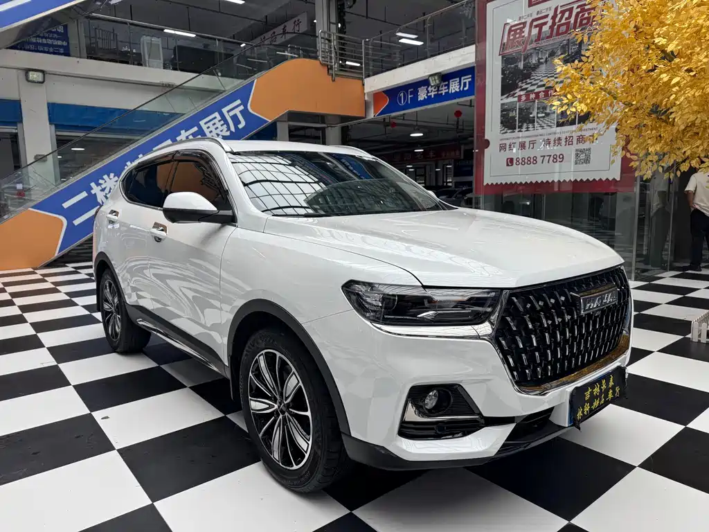 Haval H6 China Style 1.5 T Auto Champion