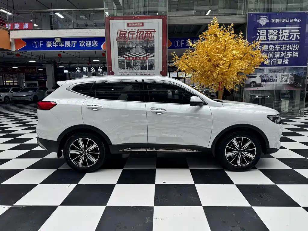Haval H6 China Style 1.5 T Auto Champion
