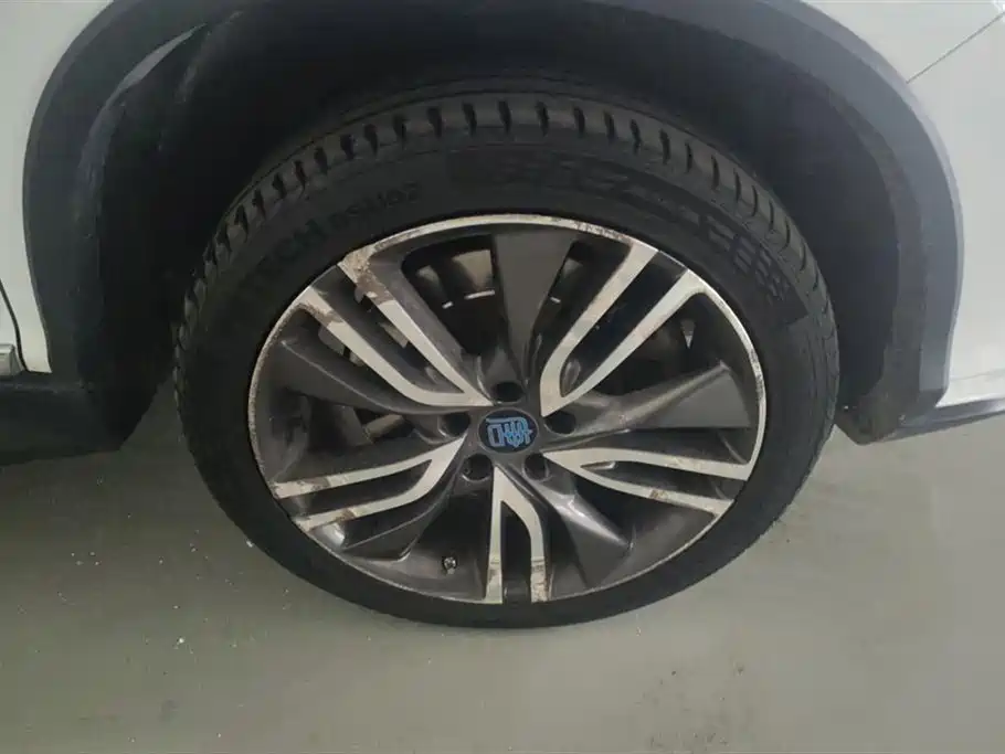 Tang NEV 2.0 T 100