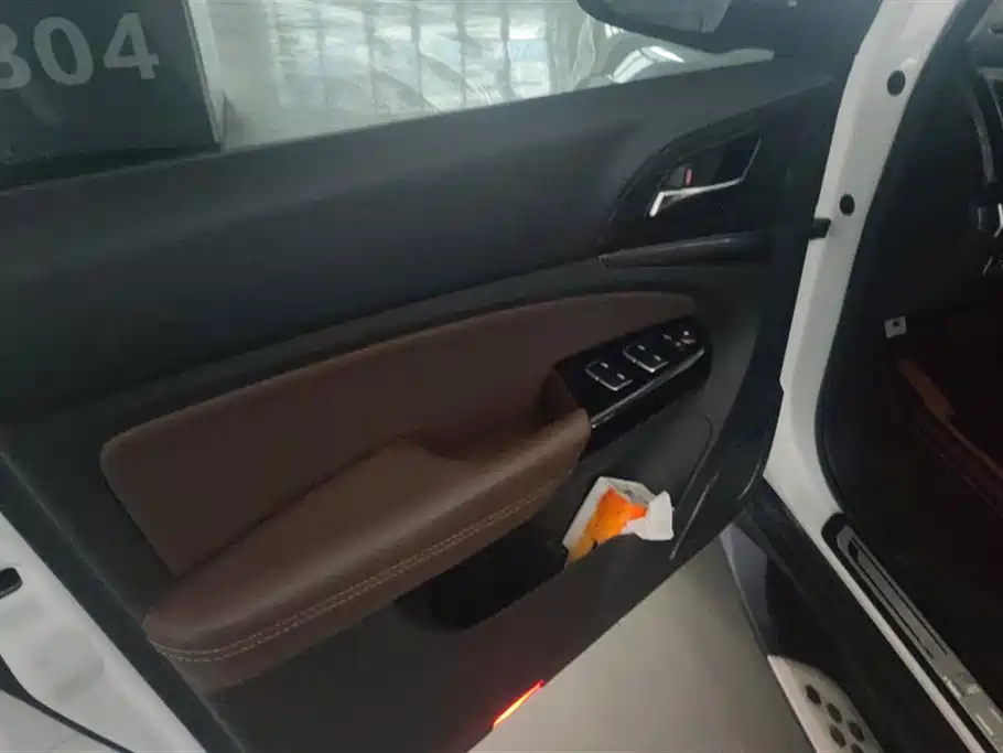 Tang NEV 2.0 T 100