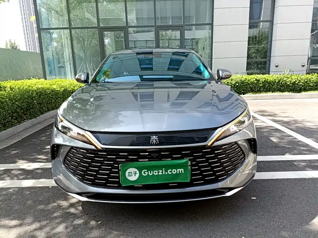 Qin L DM-i 120 KM Transcend
